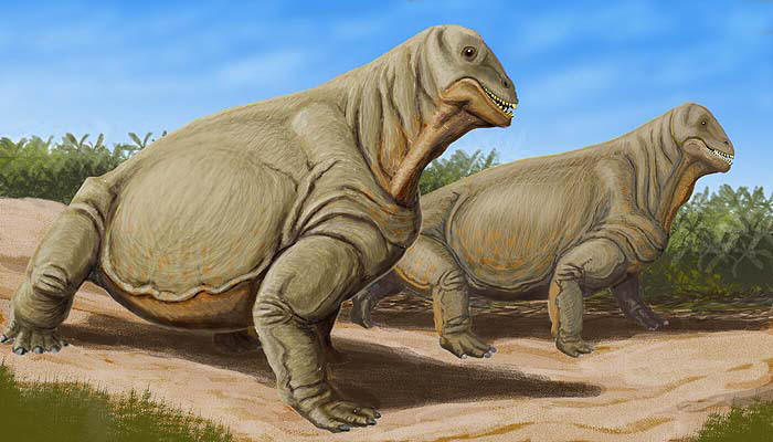 Тапиноцефалы - пермские предшественники динозавров